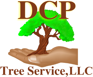 DCP Tree Service, LLC - Gallery